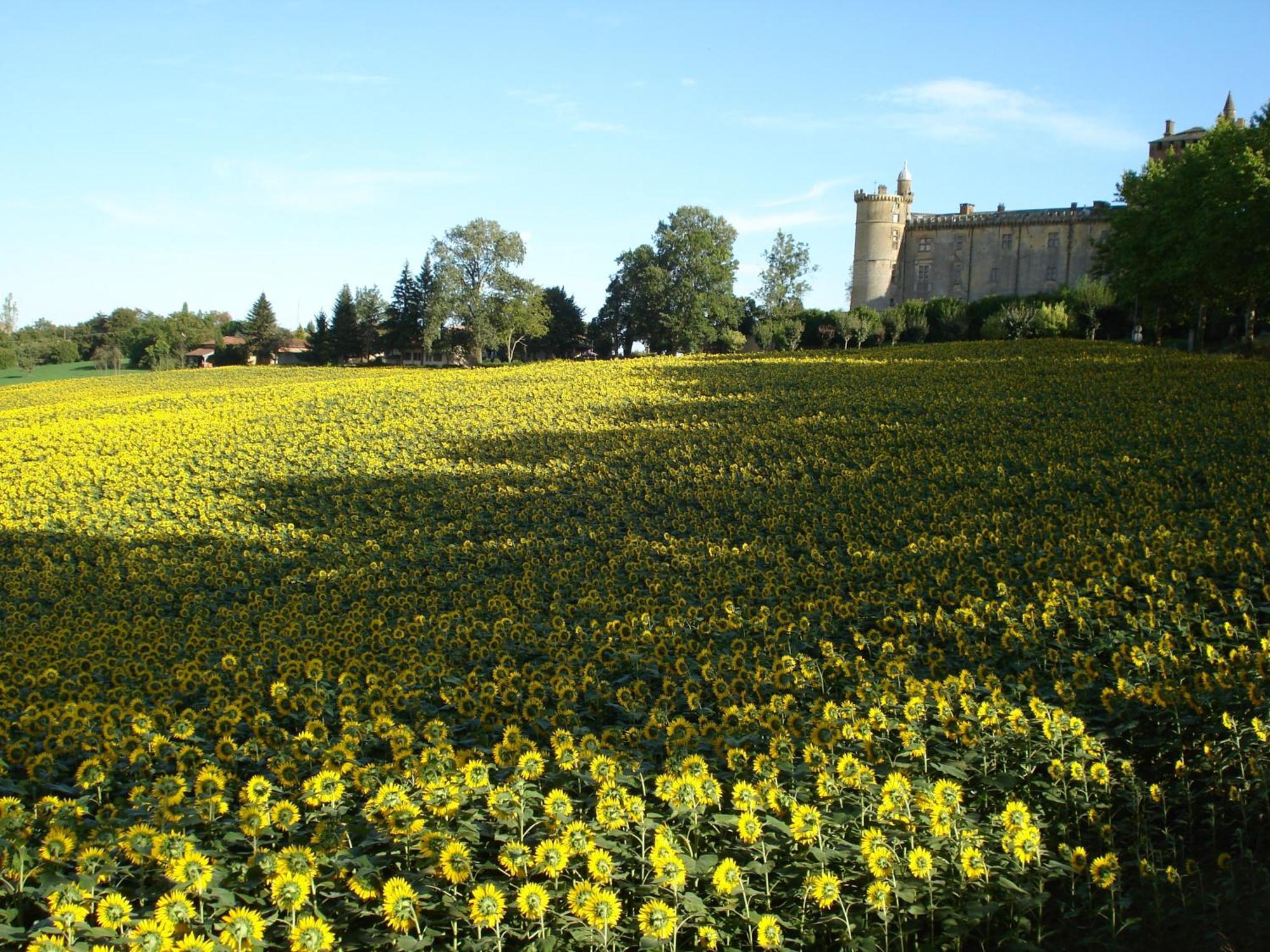 Relais Du Chateau Hotel Saint-Blancard Екстериор снимка